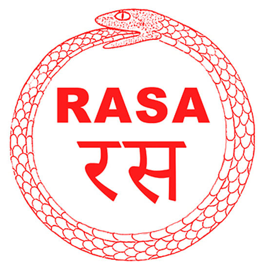 RASAsnake.jpeg